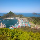 서초구장애인단체총연합회 이미지