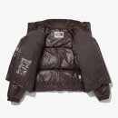 브라운퍼피 이미지