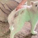 543 | 통영 여행 카페배양장 ｜ 아몬드크림라떼, 플랫화이트 내돈내산 후기, 비오는 날 오션뷰 카페 가기