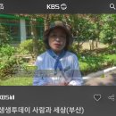 김옥여 선생님, KBS2 생생투데이 사람과 세상에 방영 이미지