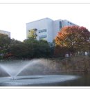 항상좋은날 이미지