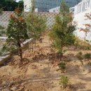 내유한의원 이미지