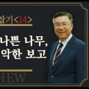 마태복음 맥잡기 14, 좋은 나무와 나쁜 나무, 선한 보고와 악한 보고 : 정동수 목사, 사랑침례교회, 킹제임스 흠정 이미지