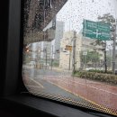 먼뽑귀 | 내게 사랑을 알려준 네게 정말 고마워 | 몬스타엑스 7기 팬콘, MX Friends