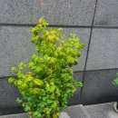 고요부동산중개법인 이미지