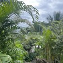 메인카 | 푸꾸옥 카미아 리조트 수영장 후기 | Camia Resort &amp; Spa 메인풀·선베드 분위기