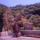 힐링산장 | 포항 하옥계곡 산 속 힐링스팟 &#34;하옥산장&#34; 평상 대여 후기