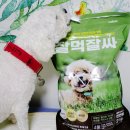 대한사료(주) | [잘먹잘싸] 황금변 강아지 사료 2kg 솔직 후기! 눈물 자국 고민 해결해 준 강아지 눈물 사료 추천