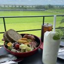 둘리애견 | ♥ 평택애견카페 &#34;둘리펫츠&#34; 완전 대만족 ♥