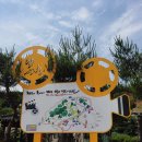 월곡영화골 이미지