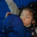 용인대 석사 대호태권도 이미지