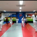 한양대 탑 태권도 이미지