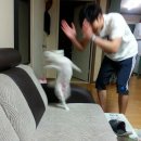 해빵이네 이미지