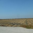 교로1리마을회관 이미지