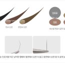 와와속눈썹