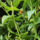 세존 - 달서구 성당로 125 | 세존