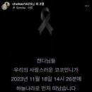세일병원 이미지