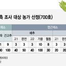 피말등 머니투데이