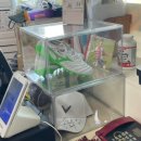 상대동11 | 대전[상대동] 황인범, 박세리 대전 또간집, 옛정식당 후기