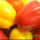 화순농장 이미지