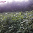신관리 이미지