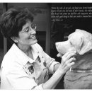 브루(BRUE) 이미지