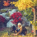 24시 신도림S동물의료센터 이미지