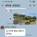 대숲맑은표고