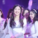 조이 카카오 검색결과