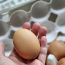 쉴만한 농원 이미지