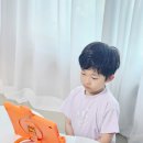 북큐레이션과 독서지도 과정 | 문해력키우기 고민 끝, 유아책 독서습관 잡아준 웅진북클럽
