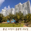 아산더삽레이크시티 3차 정문 앞 | 충남 아산시 음봉면 월랑저수지 주변 부동산 임장