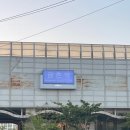 새꽃로(1) 이미지