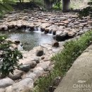 지리산장당계곡식당 이미지
