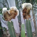 두꺼비농장 이미지