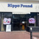 완산-130 | [ 전주/한옥마을 ] 과일 베이글 맛집 ‘히포파운드’ 주말 웨이팅 후기 (+주차장 공유)