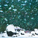 세종예술기획 이미지