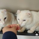 호텔엘린 이미지