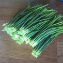 뽑기놀이 이미지