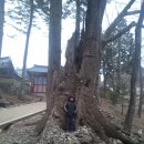 똘똘이네 이미지