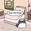 한주 이미지