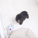 키즈멍 안양본점 이미지