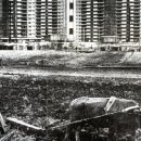 대한민국 아파트의 역사 이미지