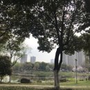 신성공원 이미지