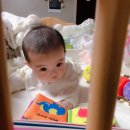 마리(MARI) 이미지