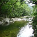 인제03-1 이미지