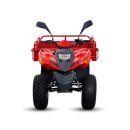 디앤에이(DNA) 이미지