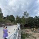산양목장 | [강원도 태백여행] 몽토랑 산양목장 방문 후기