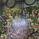 남산부페 | 중구 웨딩홀 명동 라루체 상담 후기 | 명동역 남산 웨딩홀 뷔페 상황 체감 견적