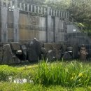 뻥튀기공원-1 이미지